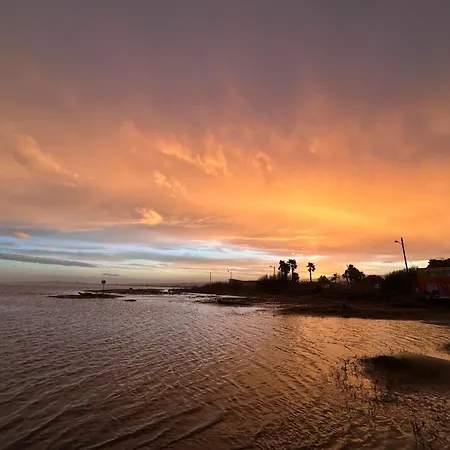 T2 Sunset A 250 M De La Mer, 3 Couchages * Narbonne-Plage