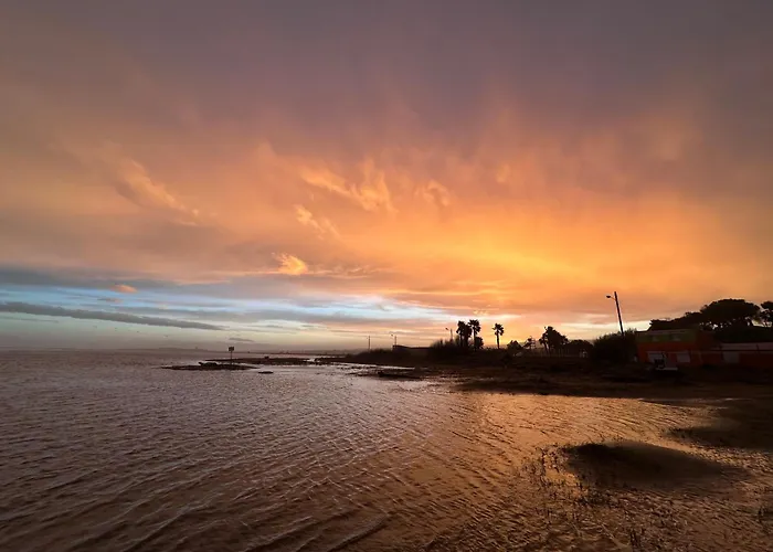 T2 Sunset A 250 M De La Mer, 3 Couchages * Narbonne-Plage